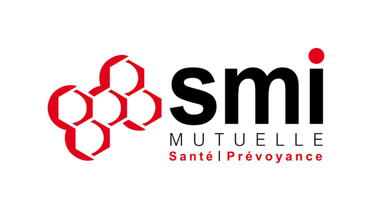 Enza: Organisation consultancy firm - Client: SMI Mutuelle